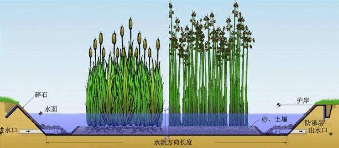 潜流人工湿地填料分类