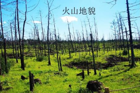 生态调查的程序与方法