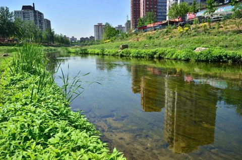 城市水环境治理与污染控制策略