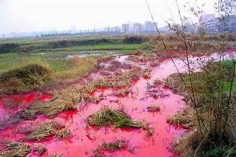 土壤重金属检测的几种常规方法